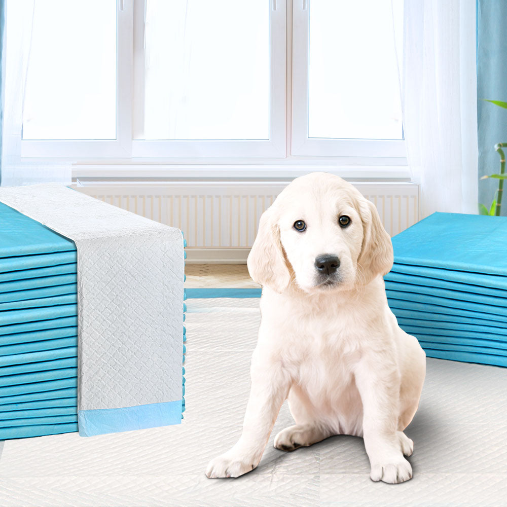 200pcs Puppy Dog Pet Training Pads Cat Toilet 60 x 60cm Super Absorbent Indoor Disposable - Pet And Farm 