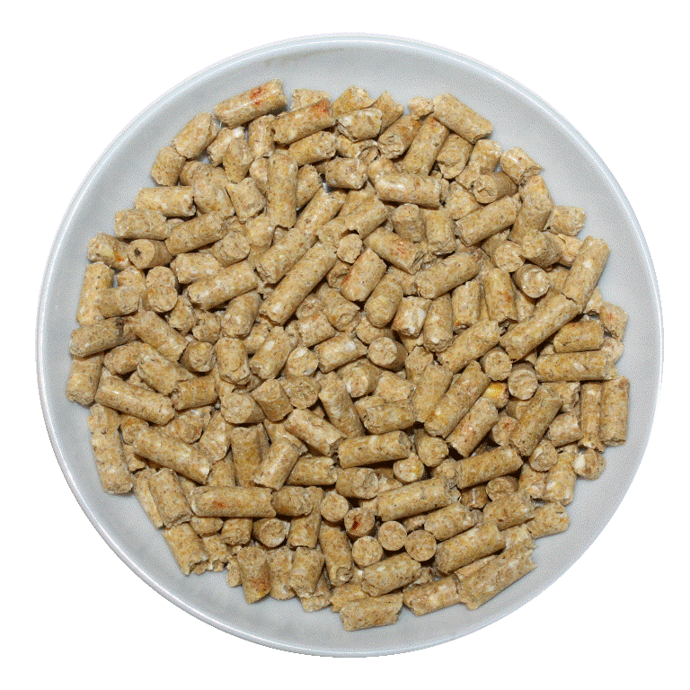 Passwell Parrot Pellets 1kg - Pet And Farm 