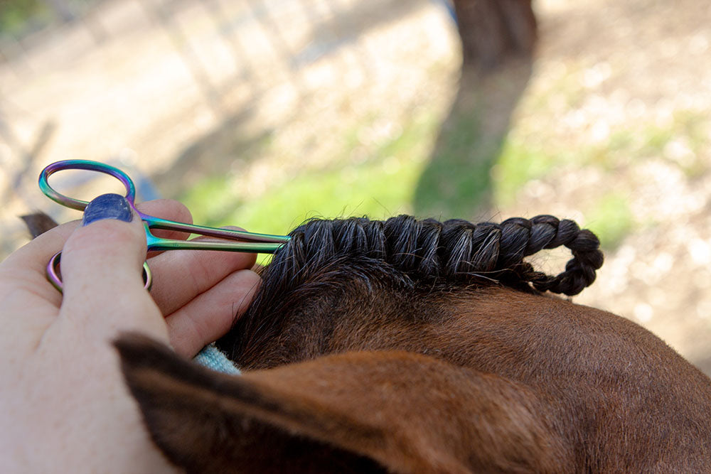 NTR Quick Clamps - Pet And Farm 