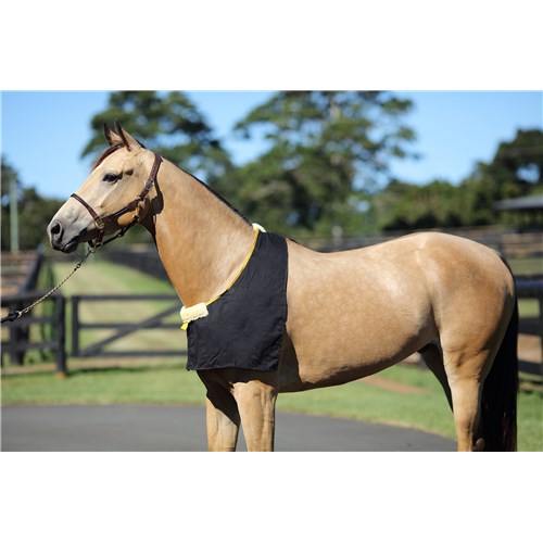 Rug Bib (Black) - Pet And Farm 