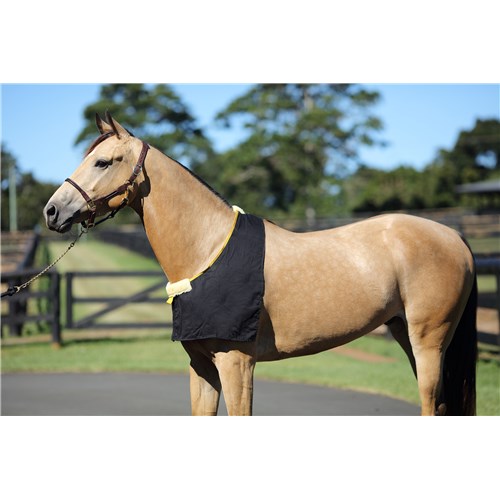 Rug Bib (Black) - Pet And Farm