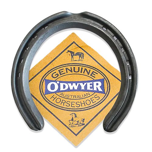 Standard Hack Horse Shoes - Pet And Farm