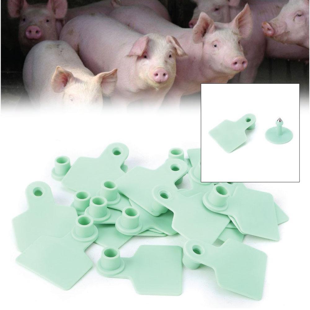 100x Cattle Ear Tags 6x7cm Set - Medium Green Blank Cow Sheep Livestock Label - Pet And Farm 