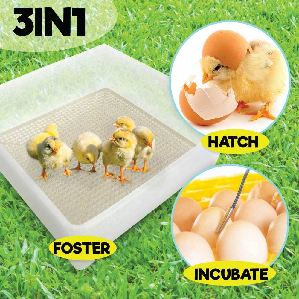 Rooster Farms Electric 112 Egg Incubator + Accessories for Chicken Quail Duck - Pet And Farm 