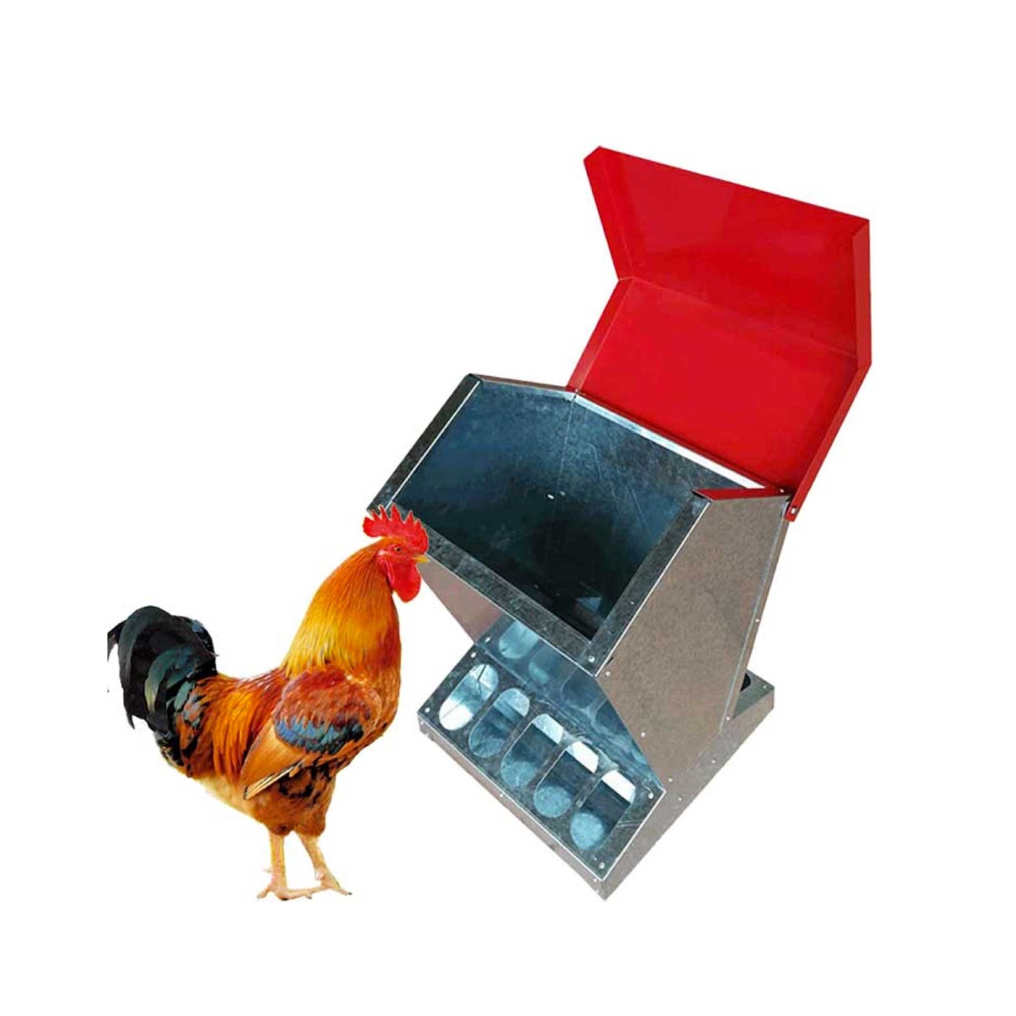 10kg Automatic Chook Chicken Feeder Poultry Auto Trough Galvanised Metal Feeders - Pet And Farm 