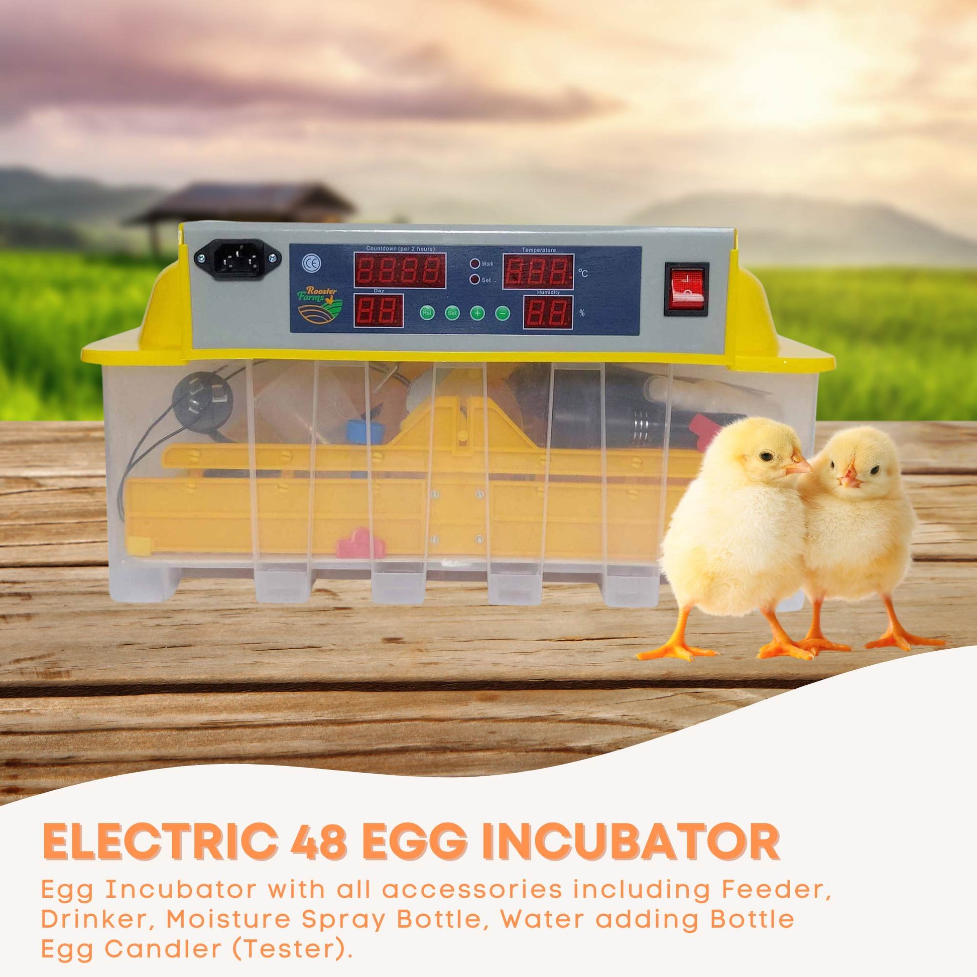 Rooster Farms Electric 48 Egg Incubator + Accessories for Chicken Quail Duck - Pet And Farm 