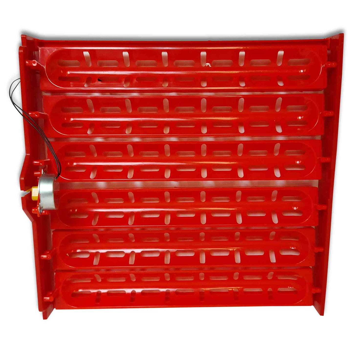 Rooster Farms Electric 60 Egg Incubator + Accessories for Chicken Quail Duck - Pet And Farm 