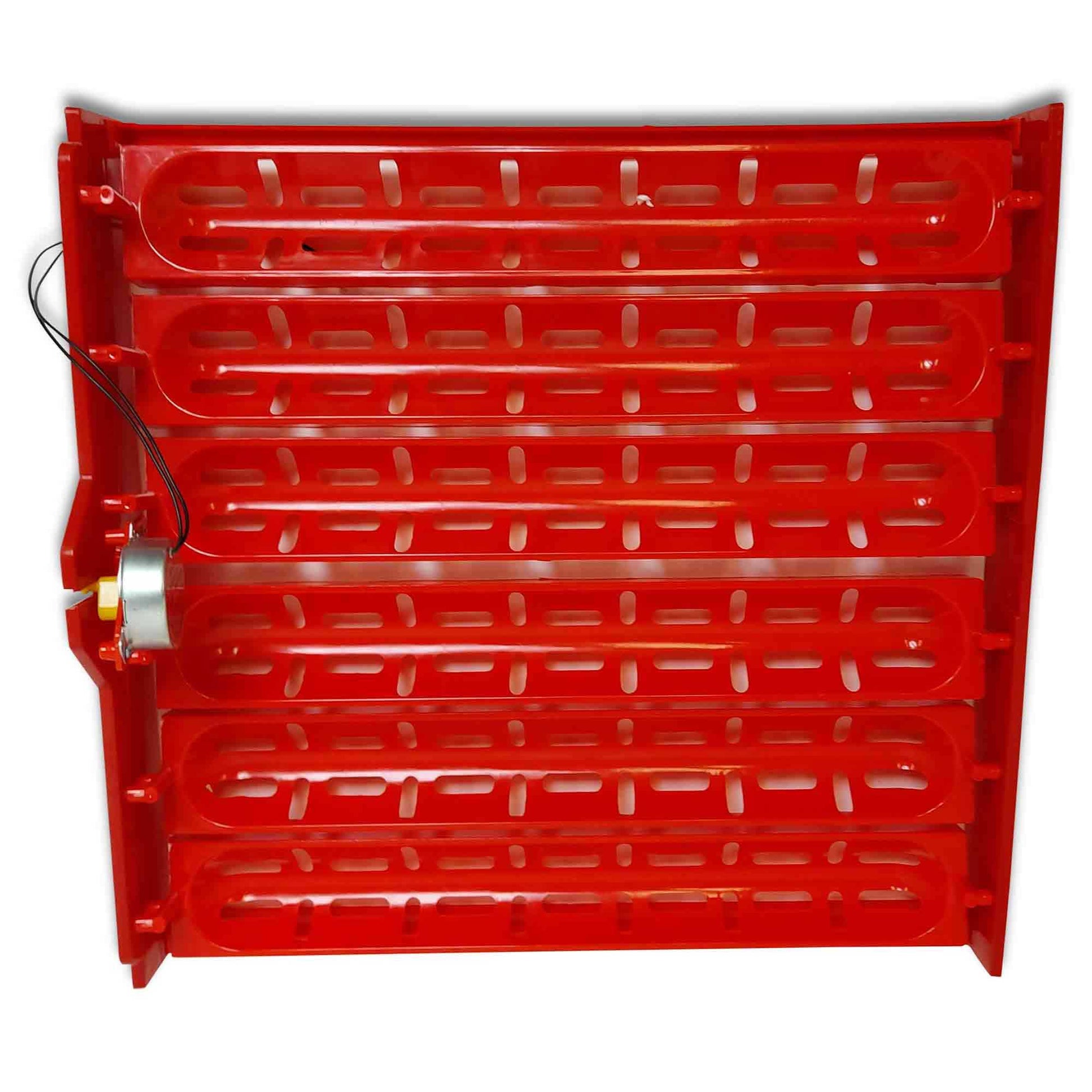 Rooster Farms Electric 60 Egg Incubator + Accessories for Chicken Quail Duck - Pet And Farm 
