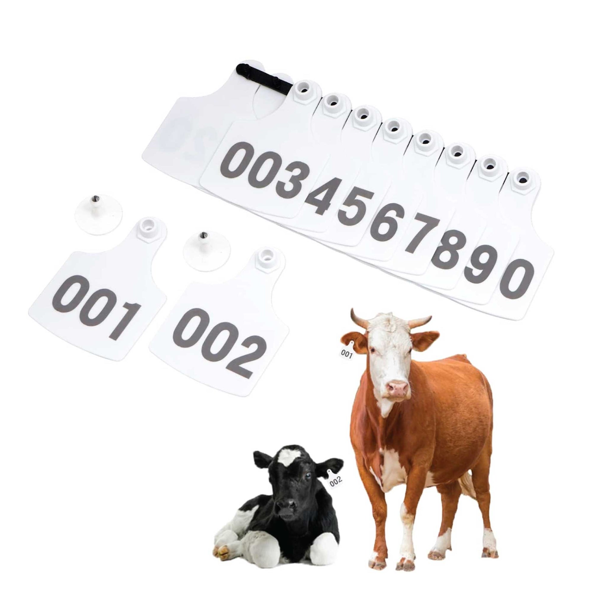 1-100 Cattle Number Ear Tags 7x10cm Set - XL White Cow Sheep Livestock Labels - Pet And Farm 