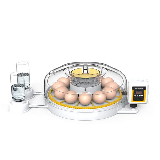 Automatic 12 Egg Incubator - Electric Digital Turning Chicken Quail Duck Hatching - Pet And Farm 