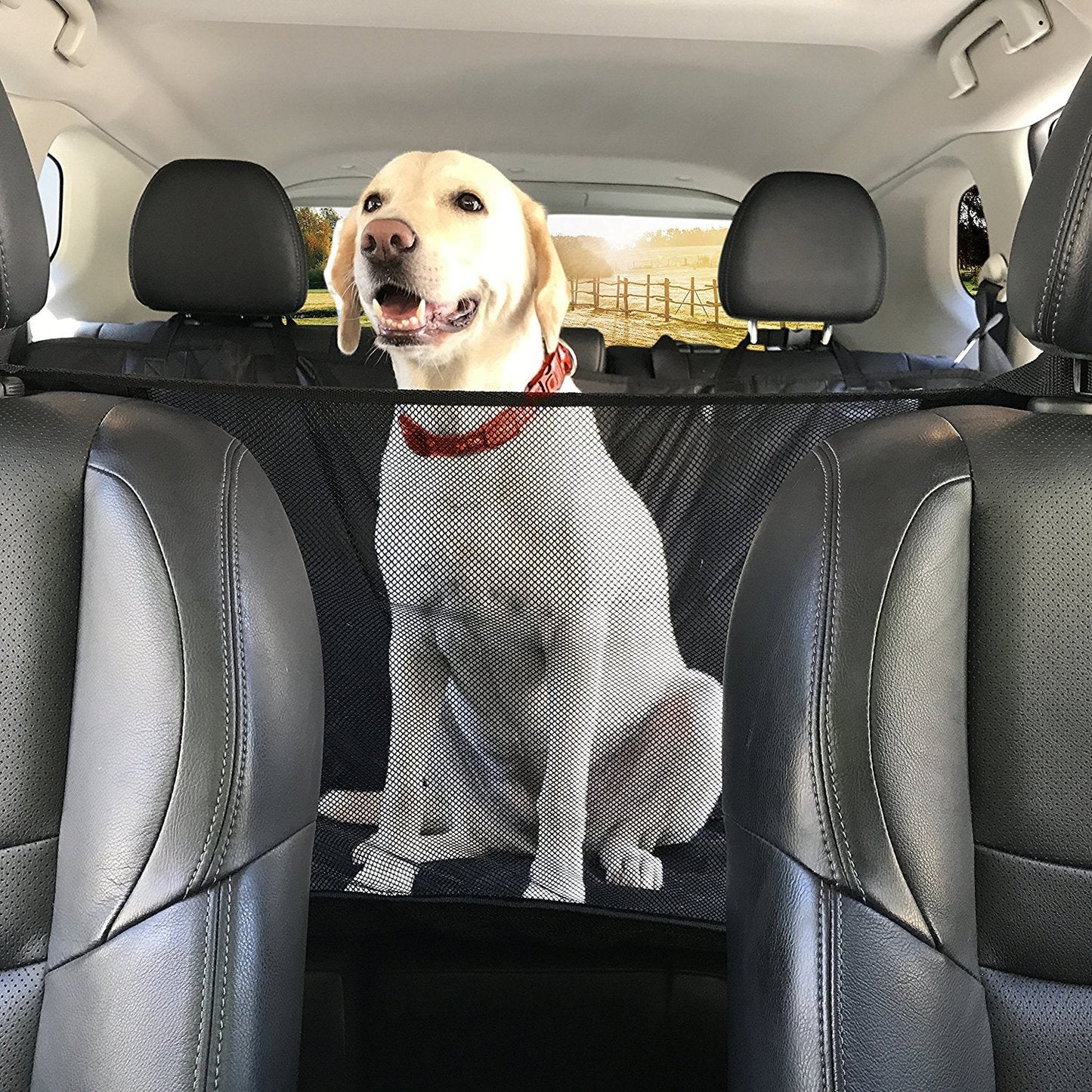 Pet Seat Cover for Dogs Car Back Seat  Anti Dirty Waterproof Pet Hammock Mat - Pet And Farm 