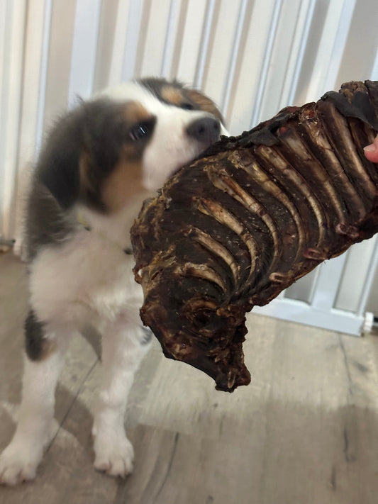 1x Just Kangaroo Rib Racks - Pet And Farm