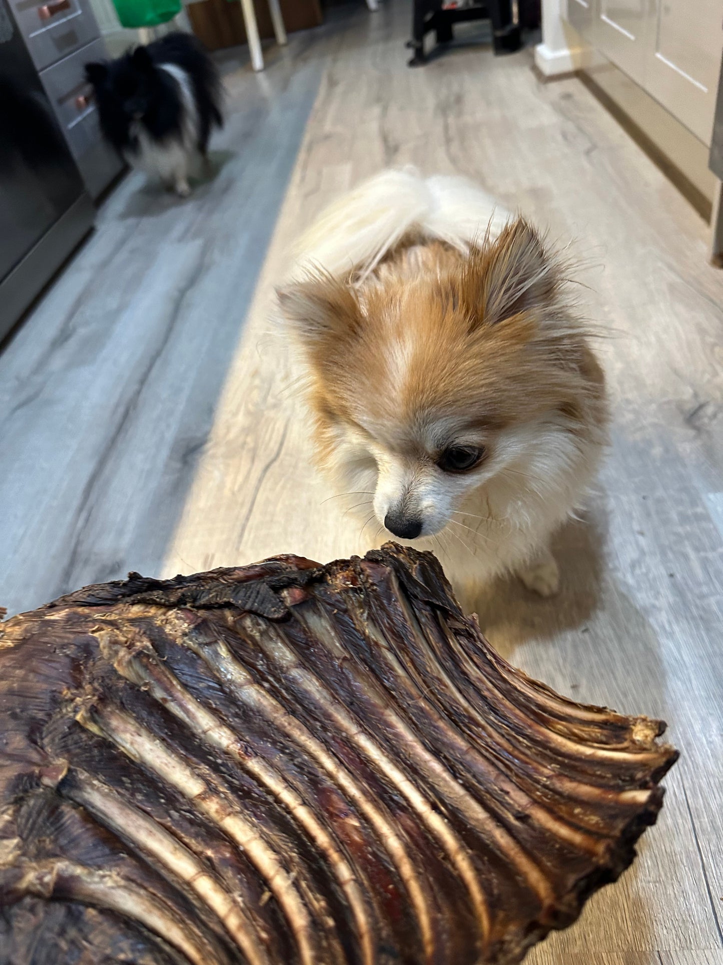 1x Just Kangaroo Rib Racks - Pet And Farm 
