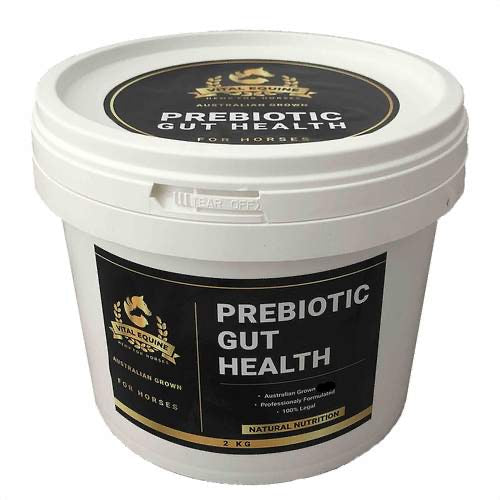 The Moulin Omega Blend | Calming & Gut Health Supplement with Omega 3,6 & 9 | 2kg Bucket - Pet And Farm 