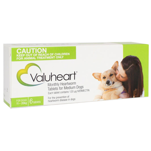 Valuheart For Medium Dogs Up To 20kg Green - Pet And Farm 