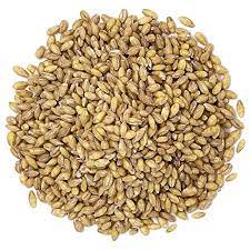 Whole Barley 20kg - Pet And Farm