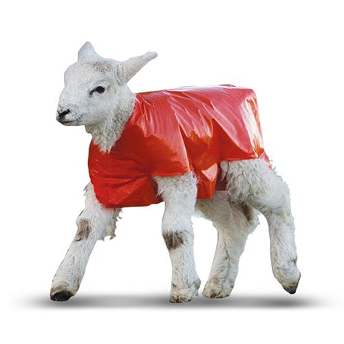 Lamb Blankets Plastic - 50 Pk - Pet And Farm