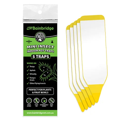 Mini Insect Indoor Pot Plant Traps 5 Pack - Pet And Farm