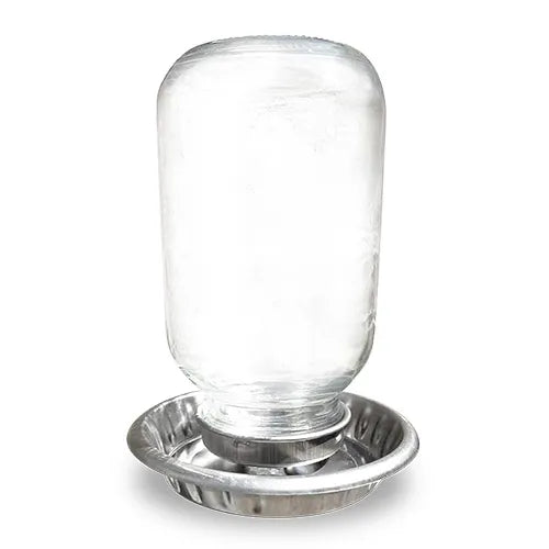 Chicken Drinker Stainless Steel Base With Glass Mason Top 1L - Pet And Farm 