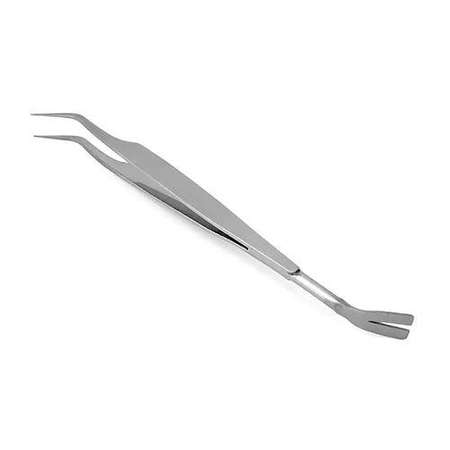 Tick Remover Tweezers Stainless Steel - Pet And Farm