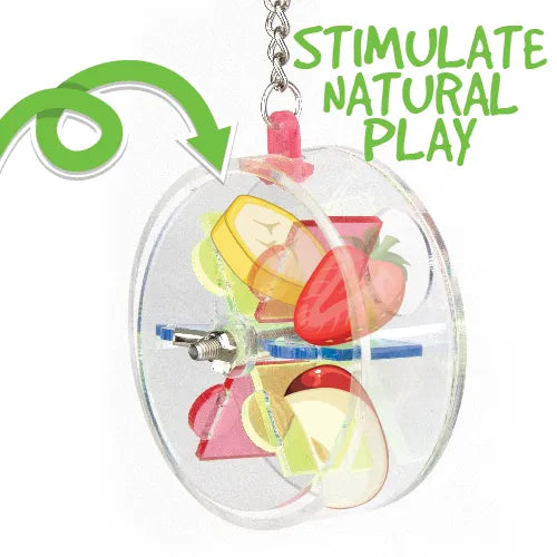 Bird Toy Foraging Hanging Wheel 10cm - Pet And Farm 