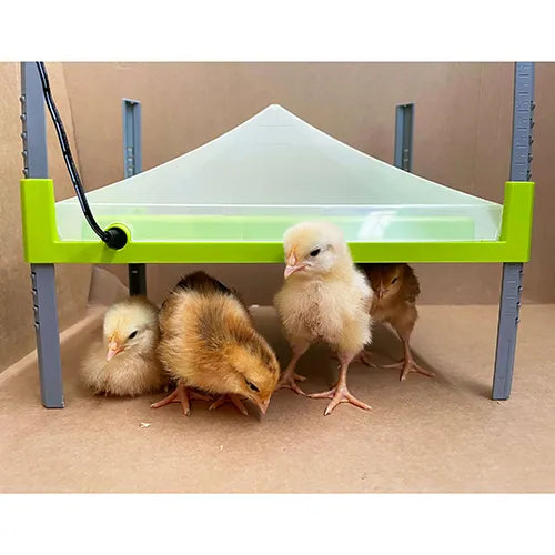 Chick Heating Plate - 43cm x 30.5cm With Cover - Pet And Farm 