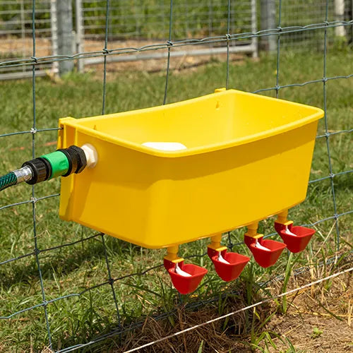 Bainbridge Automatic Poultry Waterer - Pet And Farm 