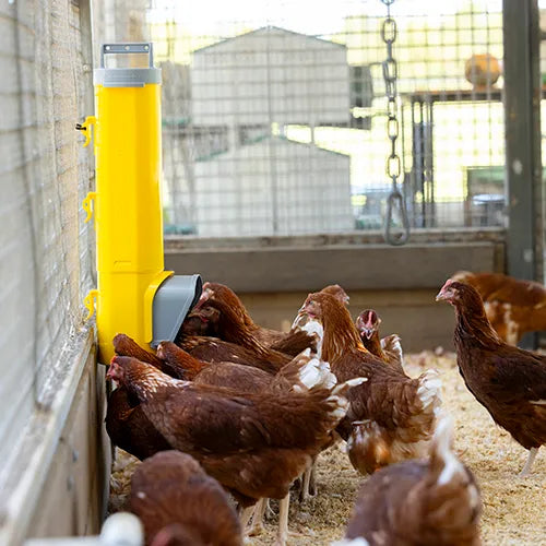 Bainbridge Chook Towers Feeder - Pet And Farm 