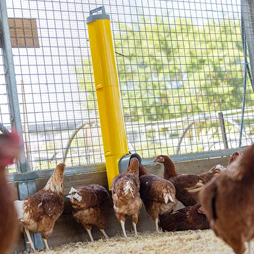 Bainbridge Chook Tower Feeder Extension Tube