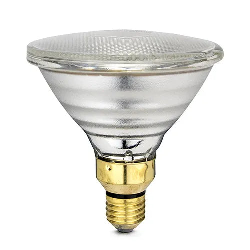 Infrared Heat Lamp Bulb - Clear - Pet And Farm 