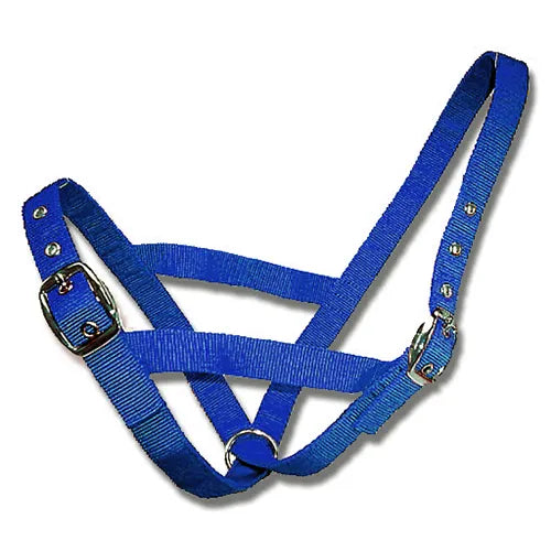 Cattle Halter Webbing - Pet And Farm