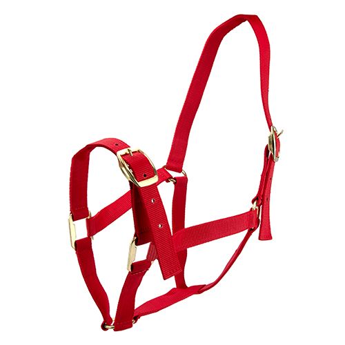 Horse Halter Nylon - Pet And Farm 