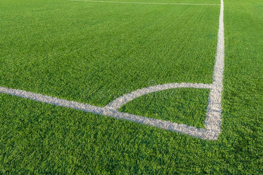 Sports Oval Lawn Blend - Pet And Farm