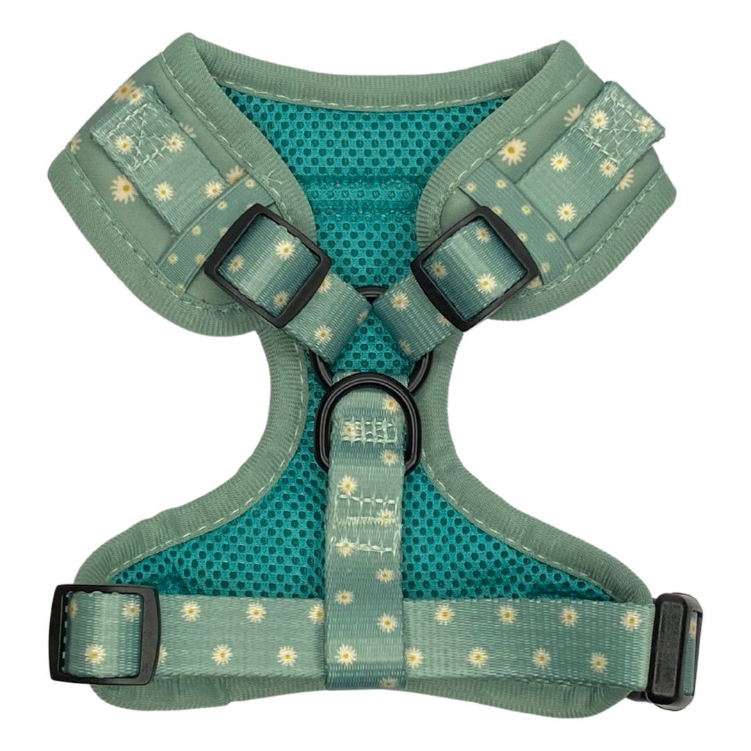 Sage Daisy Dog Harness - Pet And Farm 