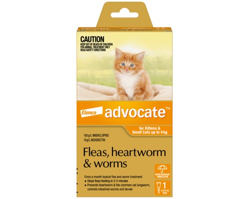 Advocate Orange Small Cats up to 4kg 1pk
