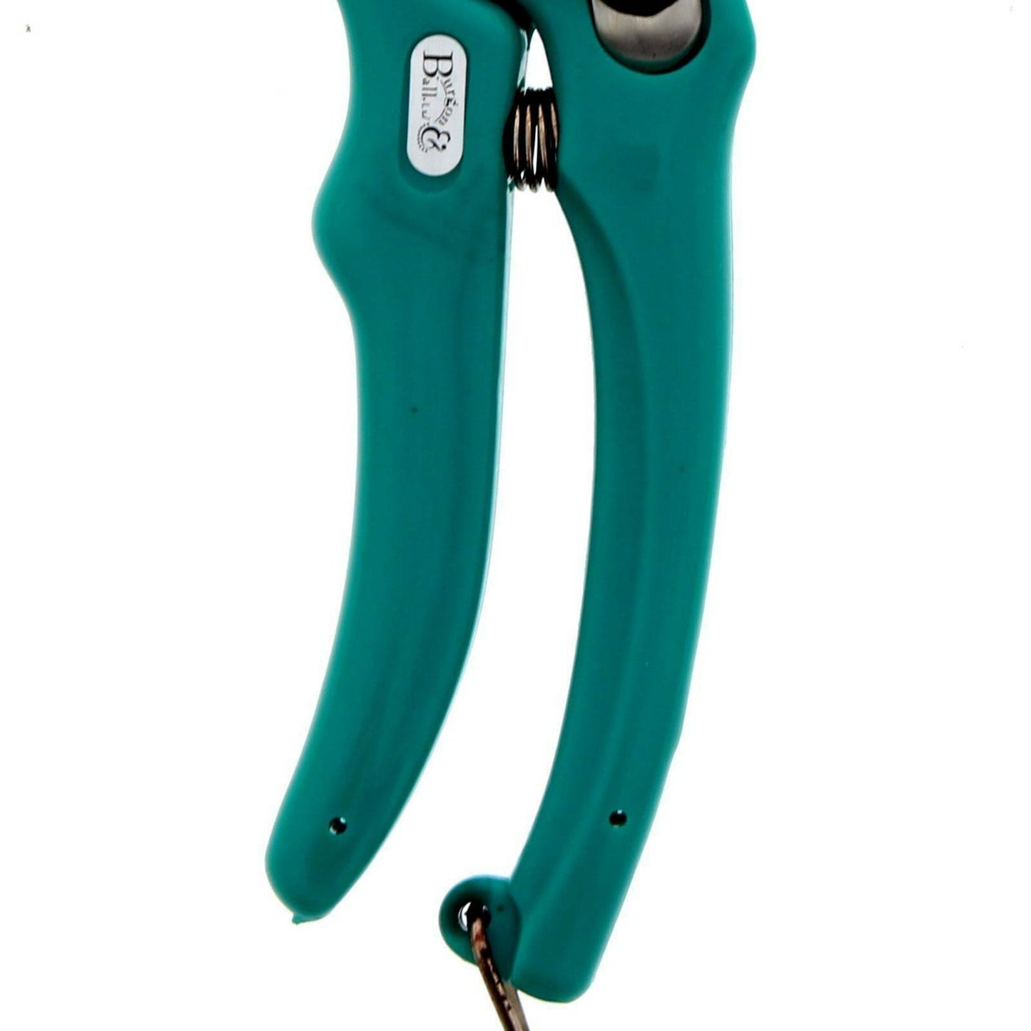 Burgon & Ball Compact Hoof Shears - Pet And Farm 