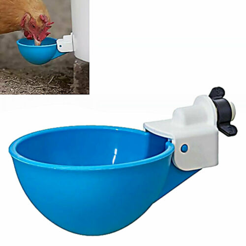 Cheecky Chooka DIY Poultry Drinker Cups - Pet And Farm 