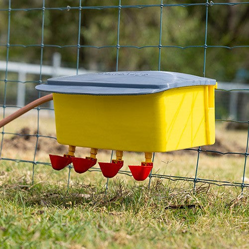 Bainbridge Automatic Poultry Waterer - Pet And Farm