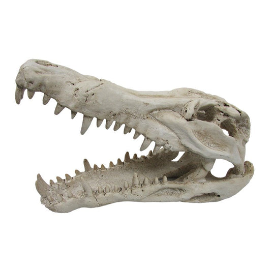 URS Croc Skull Medium - Pet And Farm