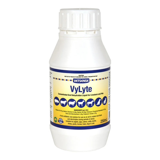 Vetsense VyLyte 250ml - Pet And Farm