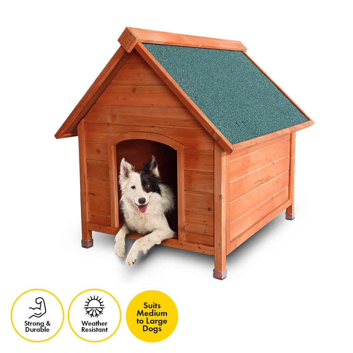 Pet Basic Dog Kennel A Frame Weather Resistant Timber Elevated Base 103cm - Pet And Farm 