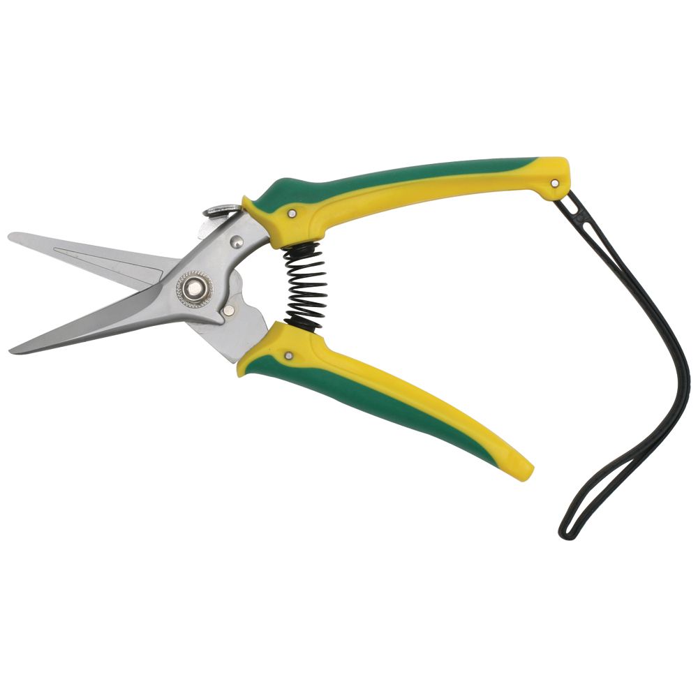 Aussie Hoof Shears - Pet And Farm 