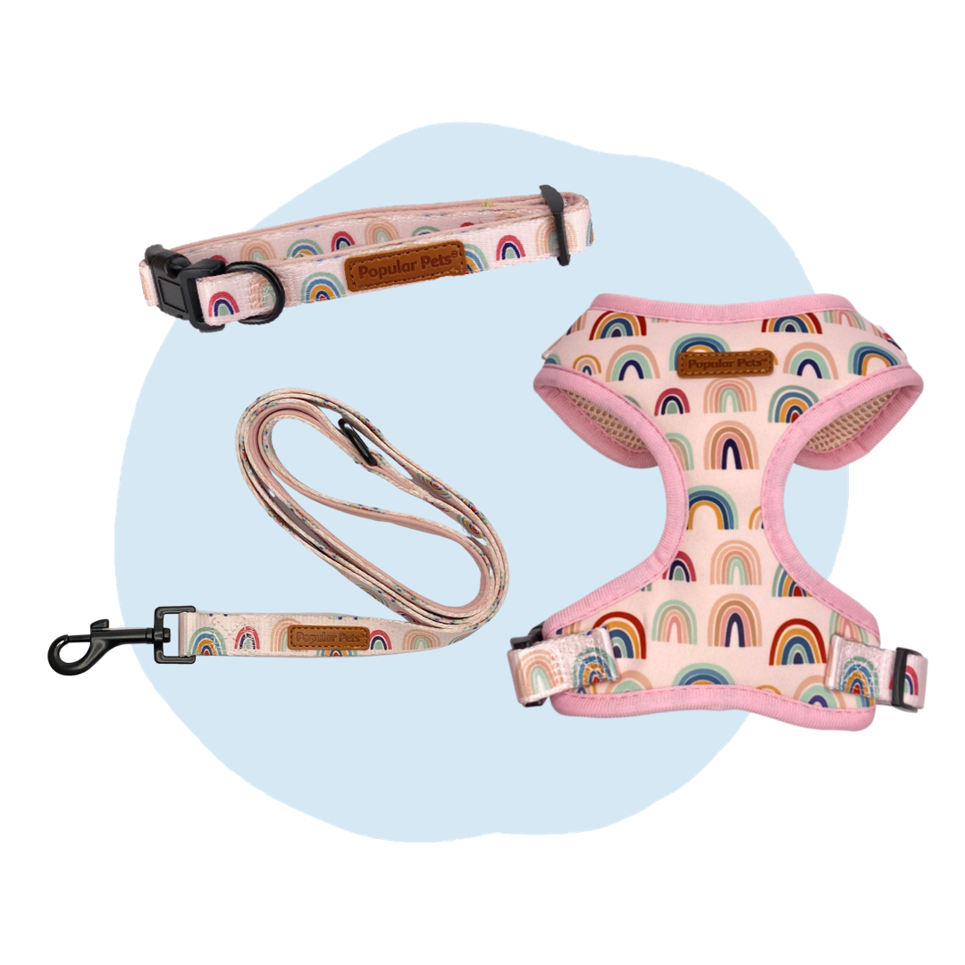 Boho Rainbow Dog Lead - Pet And Farm 