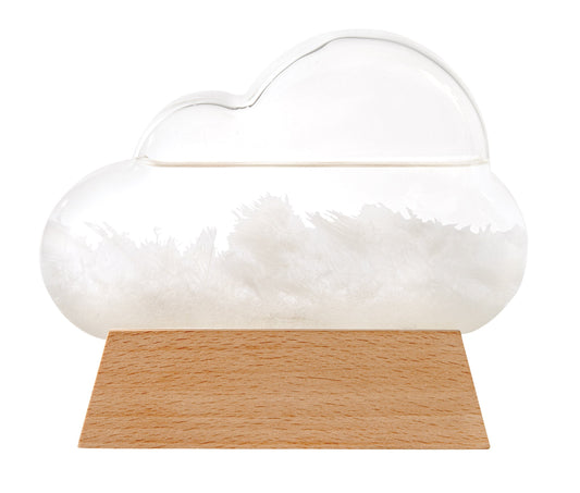 Cloud Weather Station - Pet And Farm