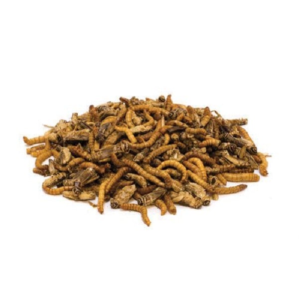 Freeze Dried Australian Insects Mix 250g - Pet And Farm 