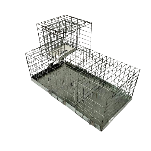 Finch Trap - Single Door Automatic - Pet And Farm 