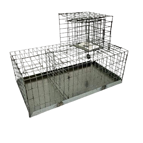 Finch Trap - Single Door Automatic - Pet And Farm 