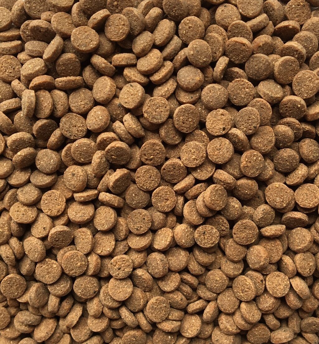 Axolotyl Pellets 80g - Pet And Farm 