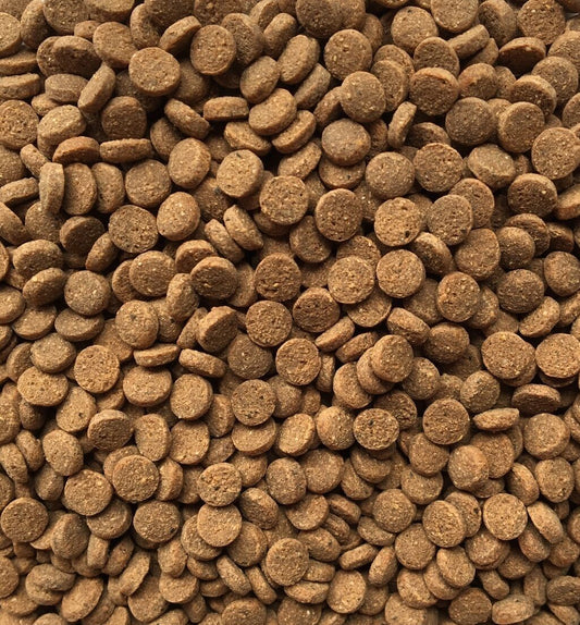 Axolotyl Pellets 80g - Pet And Farm