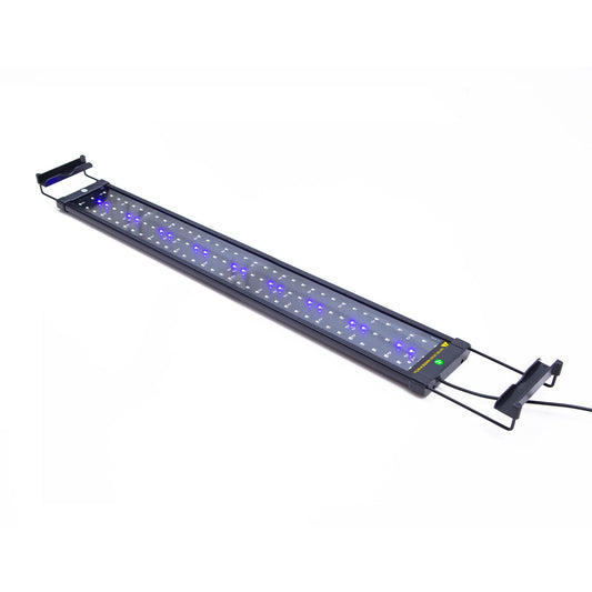 Dynamic Power 18W Aquarium Blue White LED Light for Tank 75-95cm - Pet And Farm 